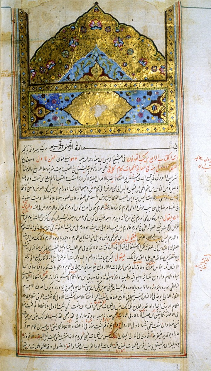 İbn Sînâ'nın Tıbbın Kanûnu (el-Qānūn fī at-Ṭibb) adlı eserinden bir sayfa by School Iranian