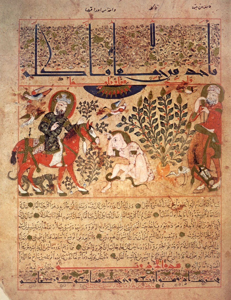 Bir adama bir yılan battı, 