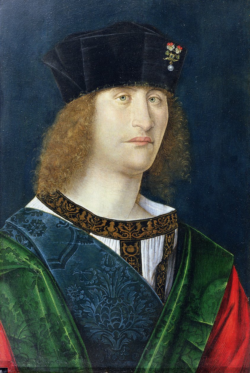 Sakalsız Genç Adam, muhtemelen Bartolomeo Liviano d