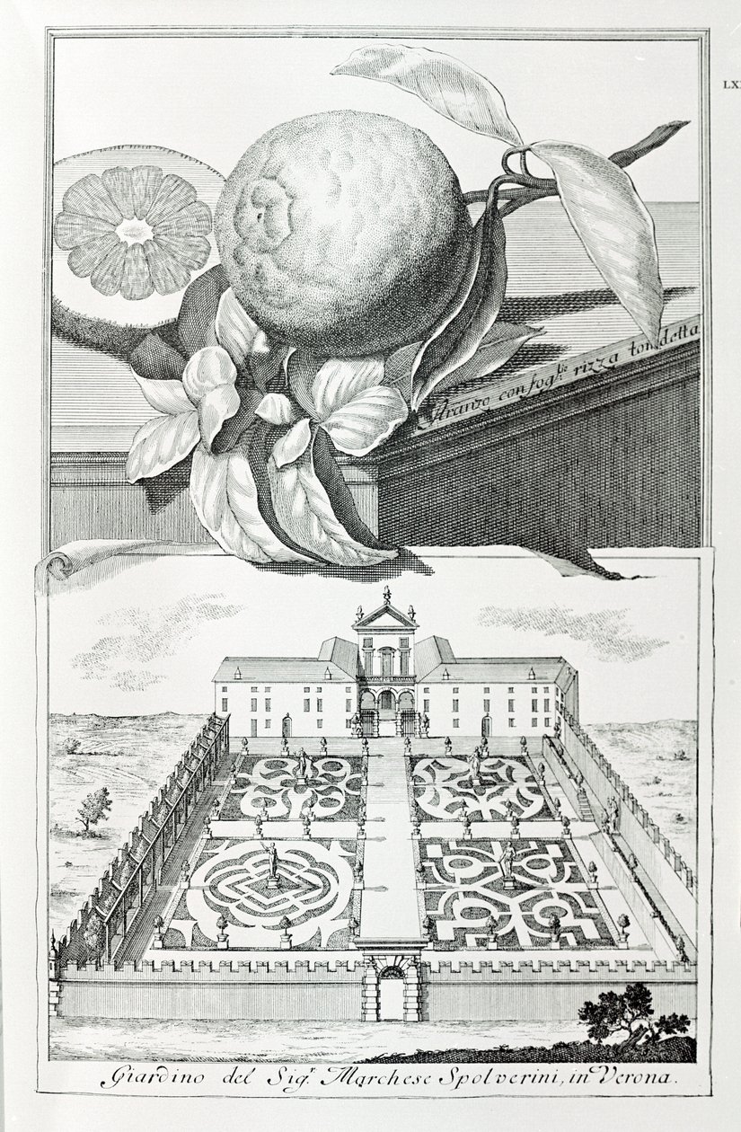 Verona Marquis Spolverini Villası, A. Volkamer tarafından "Venedik