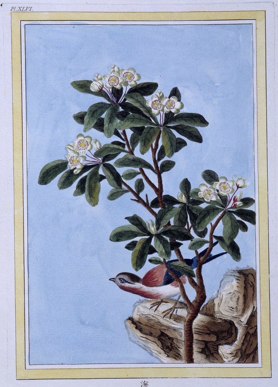 Kuş - Japonca baskı by Japanese School