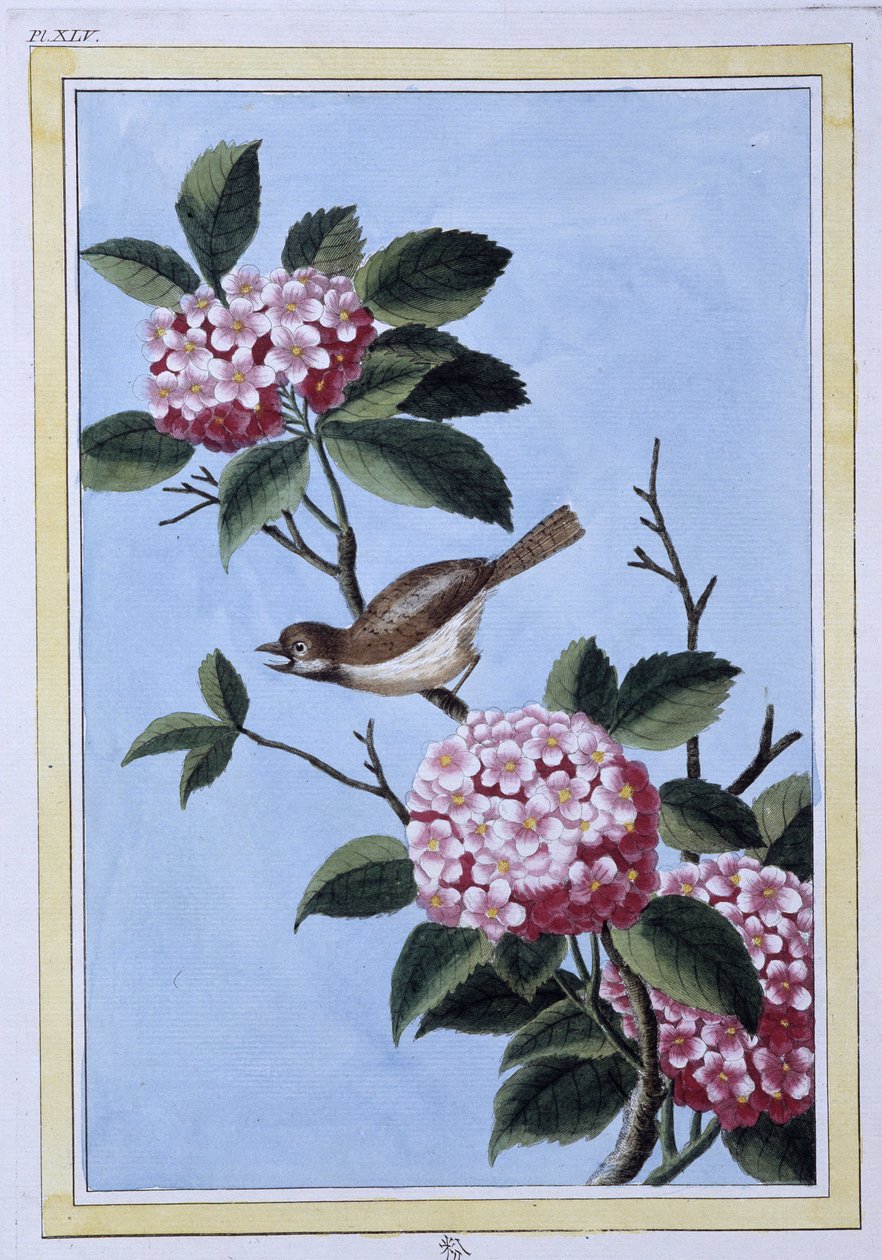 Kuş - Japonca baskı by Japanese School