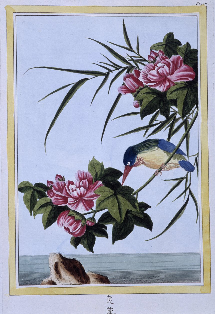 Kingfisher - Japonca baskı by Japanese School