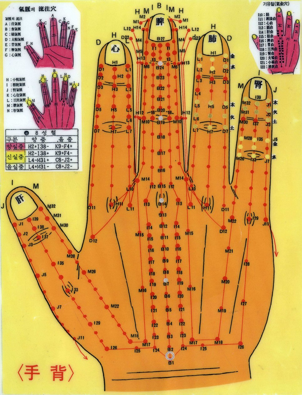 Kore akupunktur kurulu. by School Korean