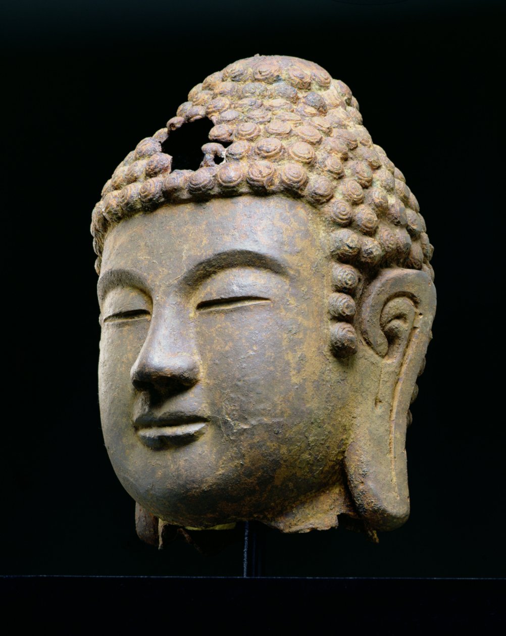 Buda