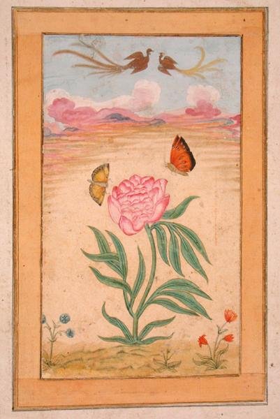 Küçük Clive Albümünden (parşömen üzerine guaj) cennet kuşları ve kelebekler içeren çiçekli bitkiler by School Mughal