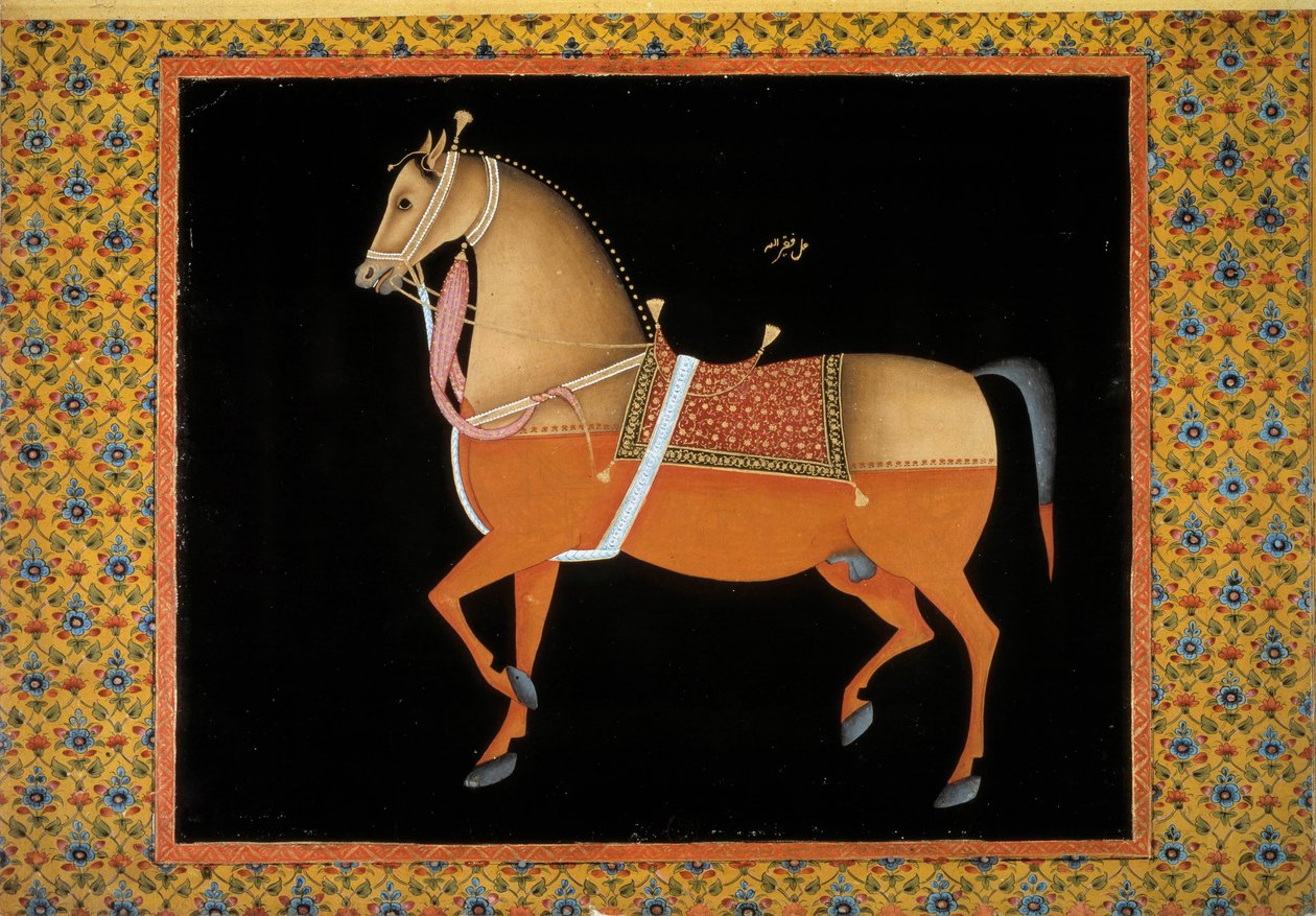 Moghol sanatı: bir aygırın temsili. 18. yüzyıl guaş. Paris, B.N. by School Mughal