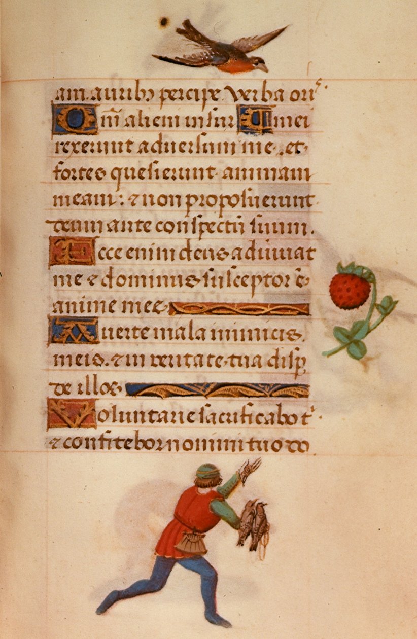 F.235 Şahinli Adam, 