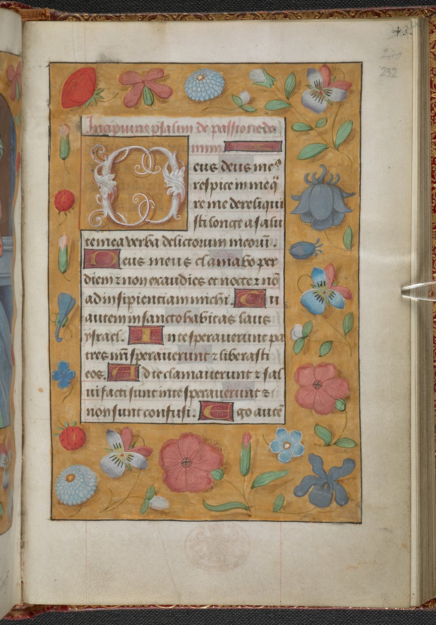 Kings 9, f.232r, Book of Hours, Sarum Kullanımı (#39;Anne Boleyn#39;s Book of Hours#39;) (parşömen) by School Netherlandish