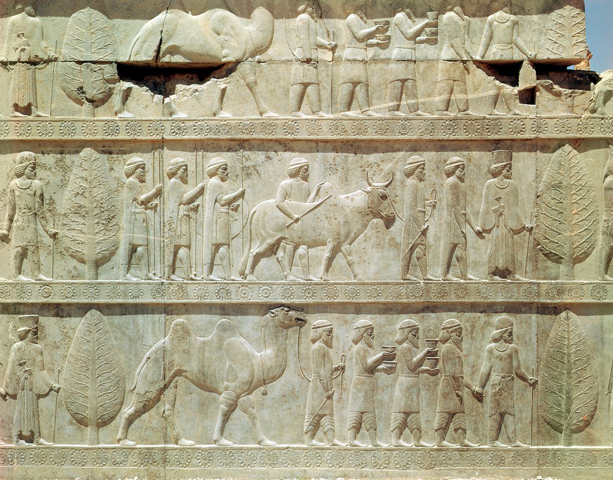 Apadana
