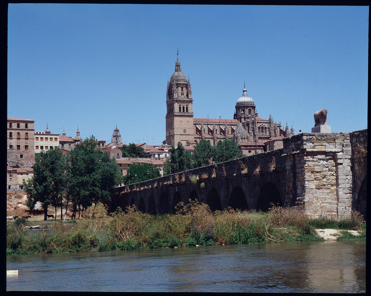 Nehir, Tormes ve katedral üzerindeki Roma köprüsünün görünümü by School Spanish