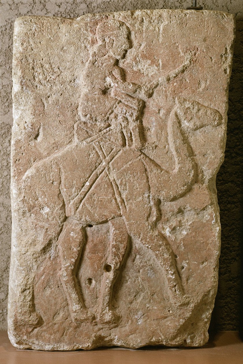 Dromedary Rider ile Rölyef by School Syrian
