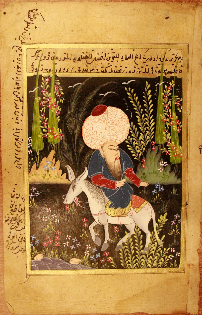 Nasr Eddin Hoca. (Nasreddin Hoca). Müslüman edebiyatının karakteri, Türkiye