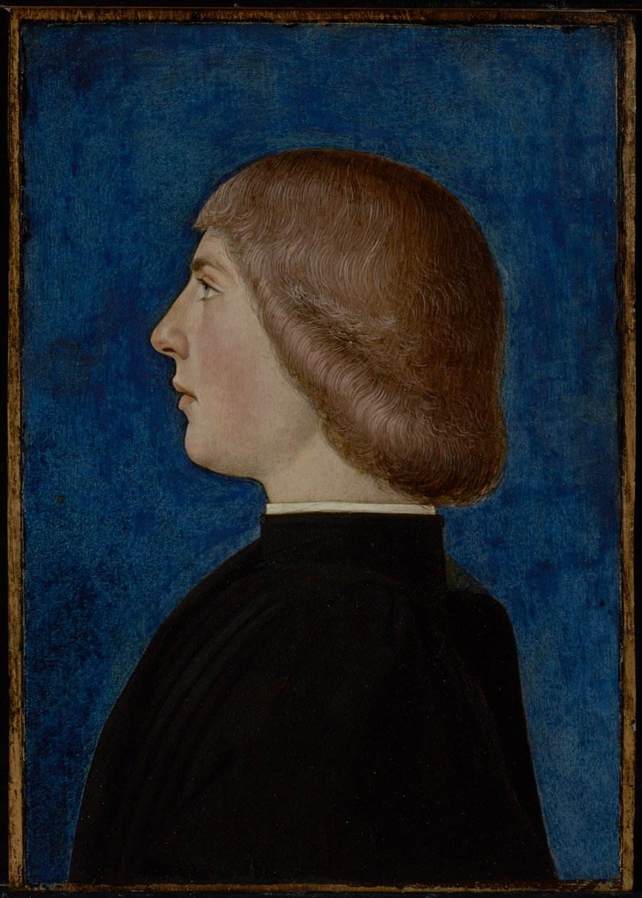 Bir Genç Adamın Portresi, 15. yüzyılın ikinci yarısı (panel üzerine yağ ve tempera) by School of Ferrare