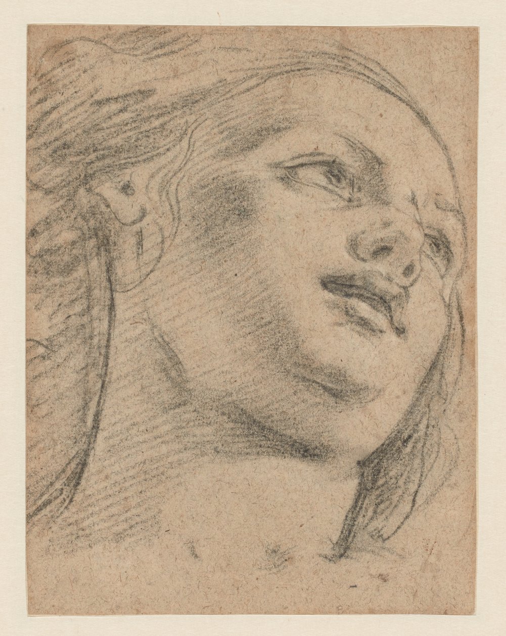 Sağa Bakarak Kadın Baş Çalışması (rekto); Bir Nesneyi Destekleyen İki Figürün İncelenmesi (versi) by School of Guido Reni