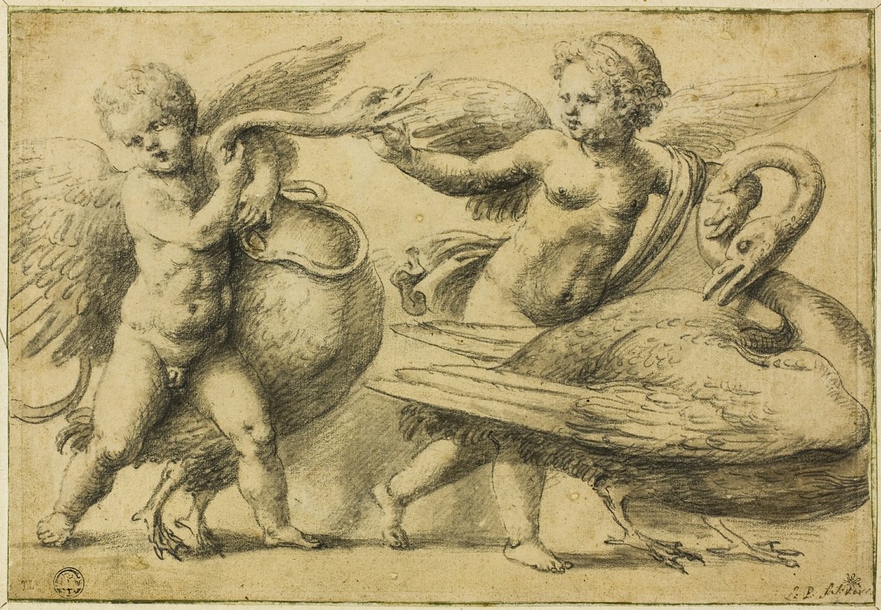 Kuğularla Oynayan Putti by School of Raphael
