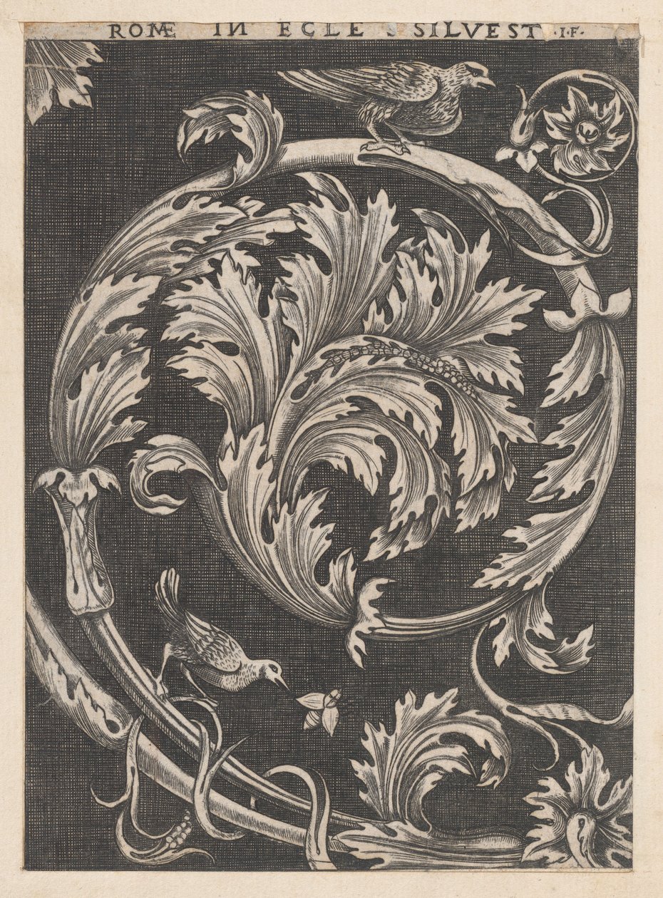 Kiliselerden süs yaprakları, 16. yüzyıl., 16. yüzyıl. by School of Raphael