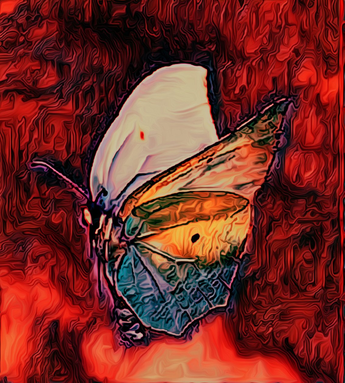 Kelebek, 2021 by Scott J. Davis