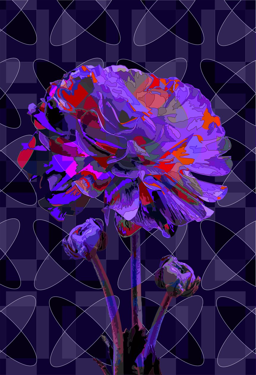 karanfil2, 2019 by Scott J. Davis