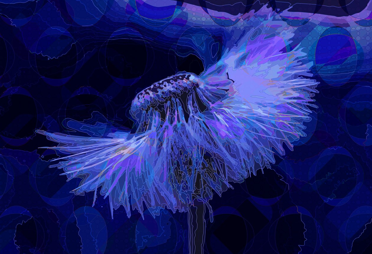 Karahindiba, 2019 by Scott J. Davis