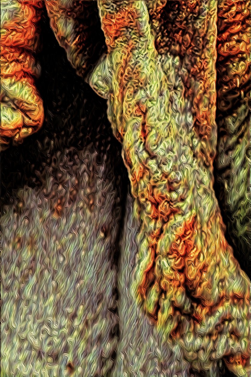 Ağaç Gövdesi, 2021 (dijital) by Scott J. Davis