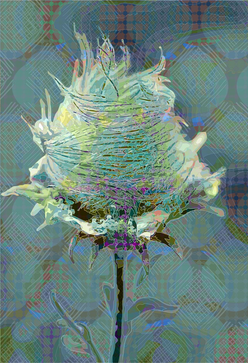 Ahşap Avens3, 2019 by Scott J. Davis