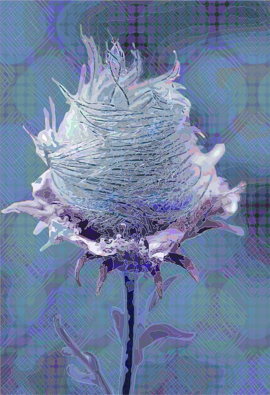 Ahşap Avens4, 2019 by Scott J. Davis