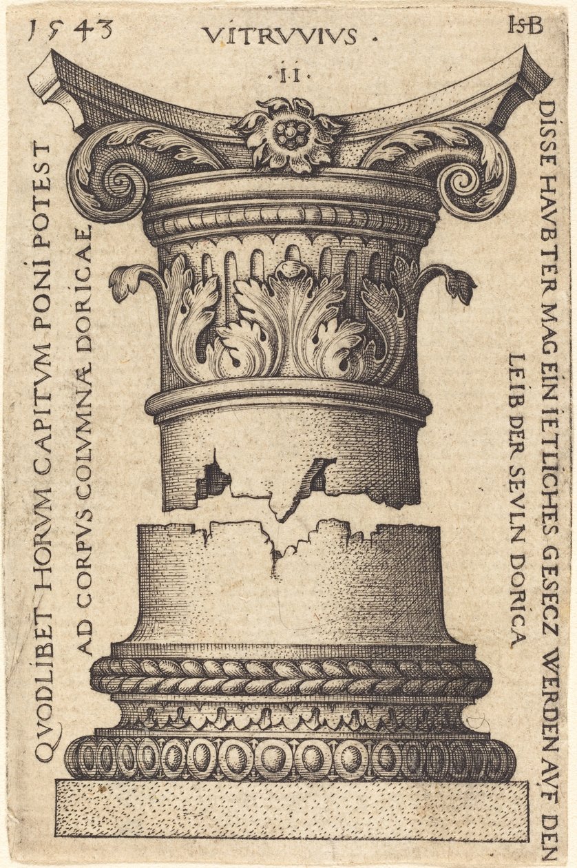 Bir Sütunun Sermayesi ve Tabanı by Sebald Beham