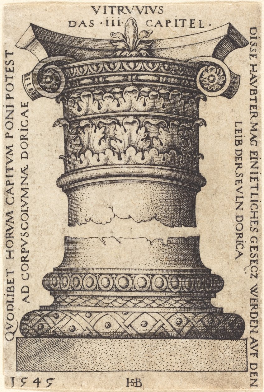 Bir Sütunun Sermayesi ve Tabanı by Sebald Beham