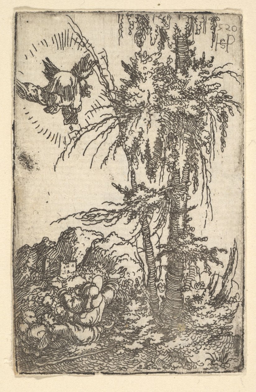 Joachim, Bakire