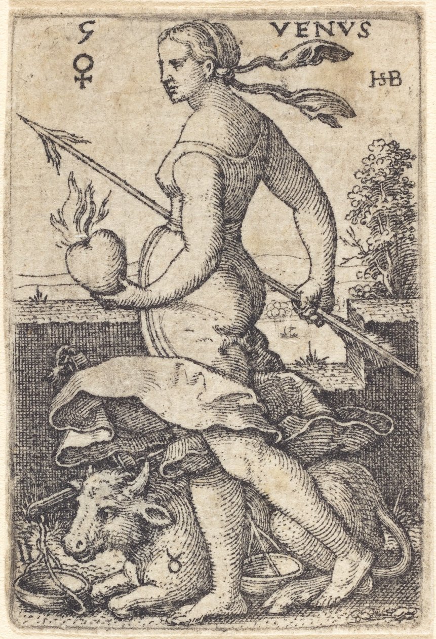 Venüs by Sebald Beham