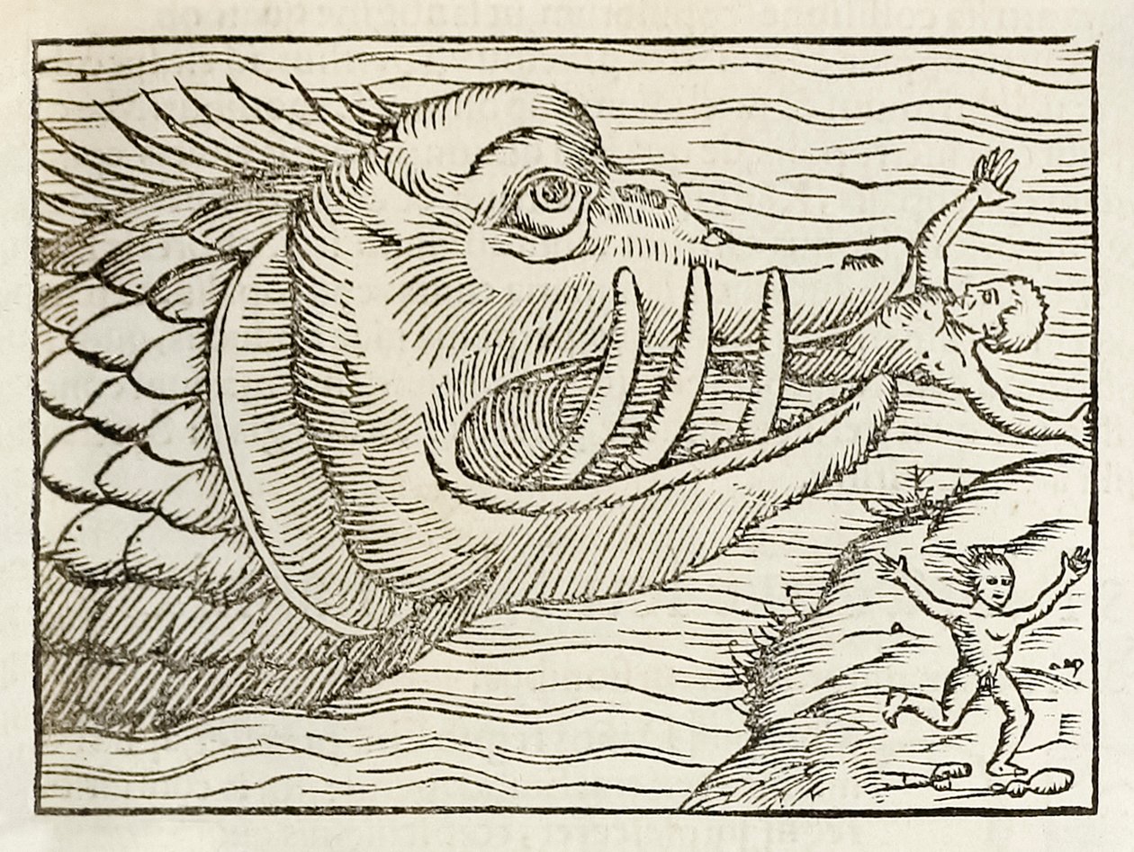 Sebastian Munster tarafından kaleme alınan Cosmographia