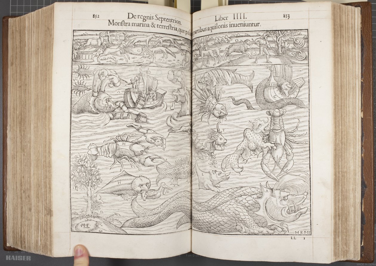 Kozmografi, Fol 852-853, 1544 by Sebastian Munster