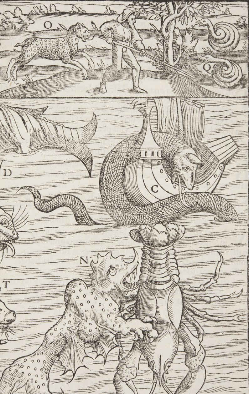 Kozmografi, Fol 853, 1544 by Sebastian Munster