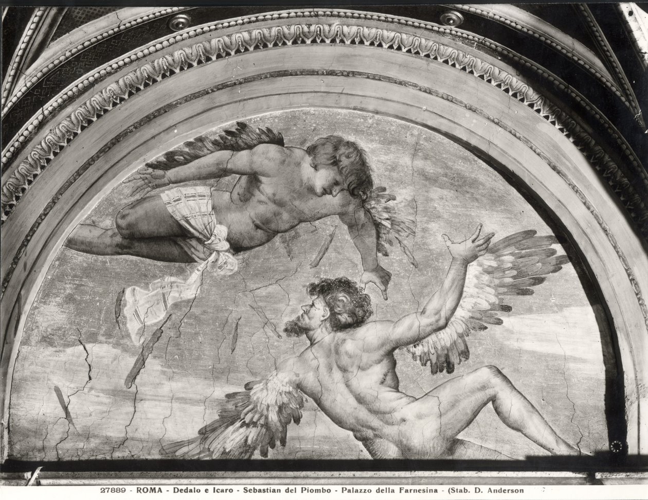 Daedalus ve Icarus, Ovid