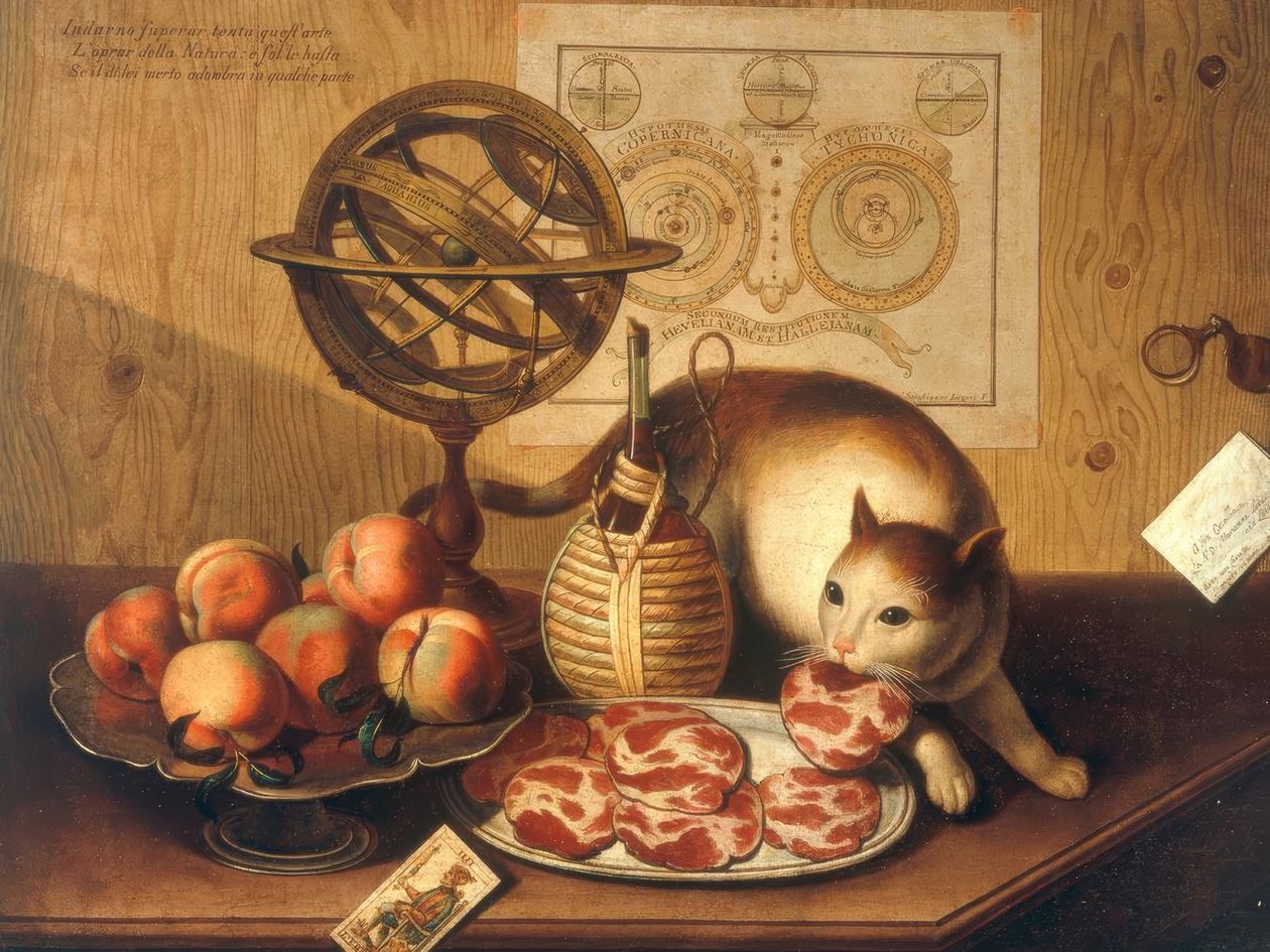 Kedi ile natürmort by Sebastiano Lazzari