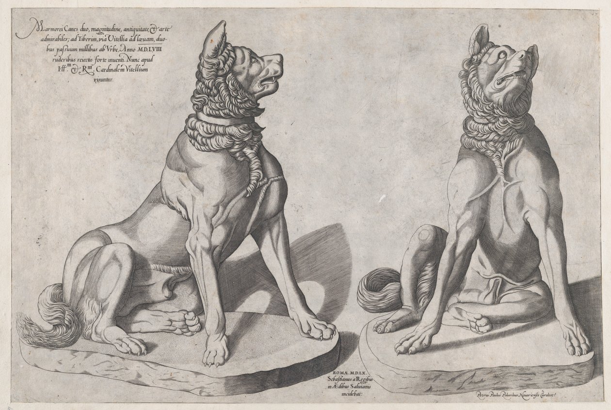 İki Köpek, 1558 by Sebastiano di Re