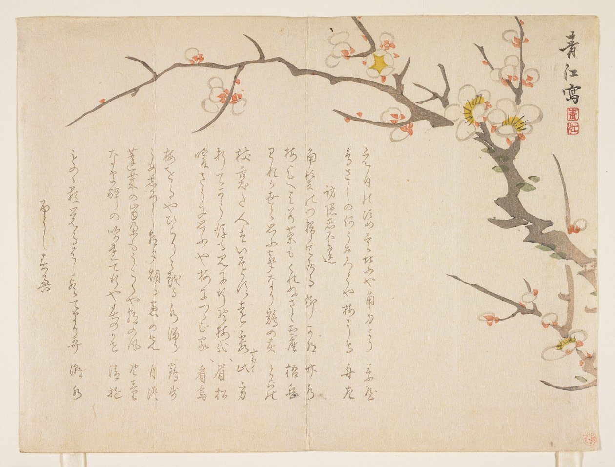 Çiçekli erik, Ocak 1837 (renkli tahta baskı) by Seik Hashimoto