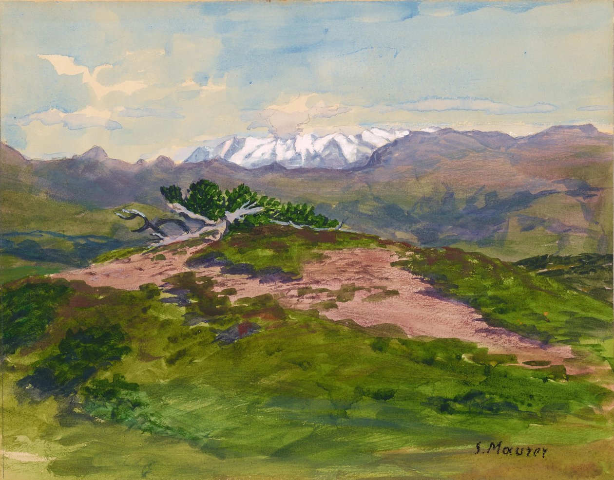  by Serafin Maurer