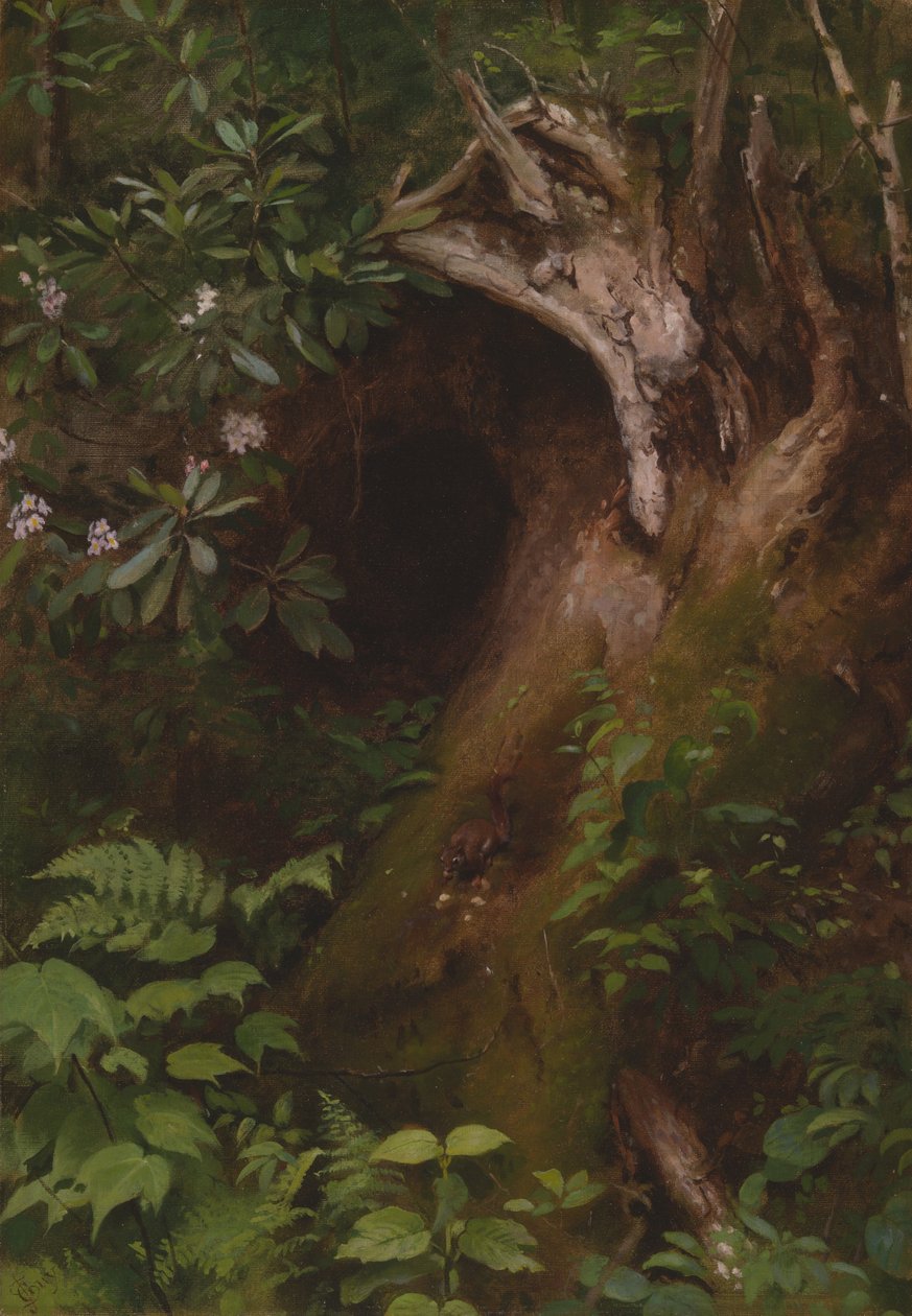 Sincap, 1860