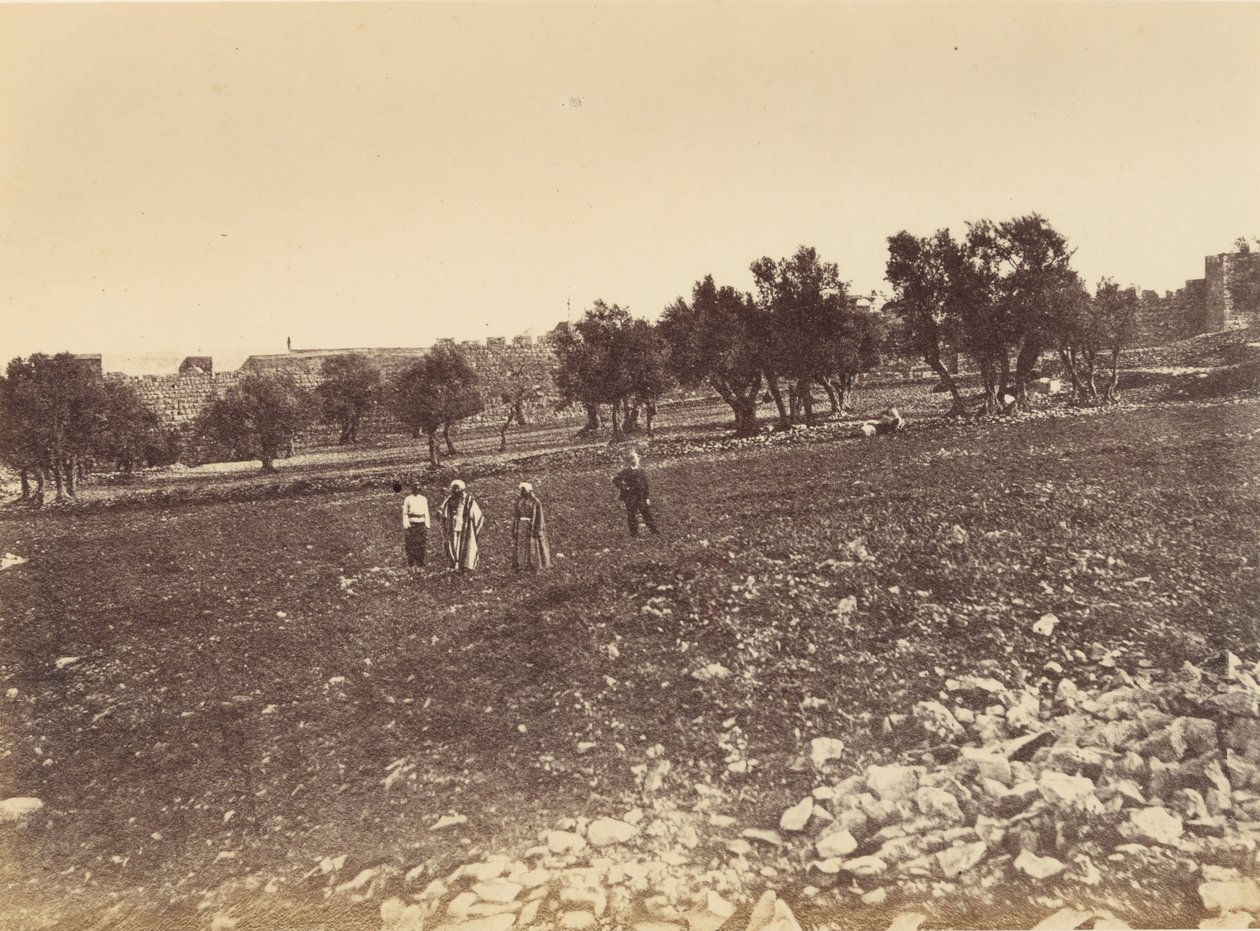 Panoramik Şehir Manzarası- Şehrin Genel Görünümü undc. kuzeyden by Sgt. James M. McDonald