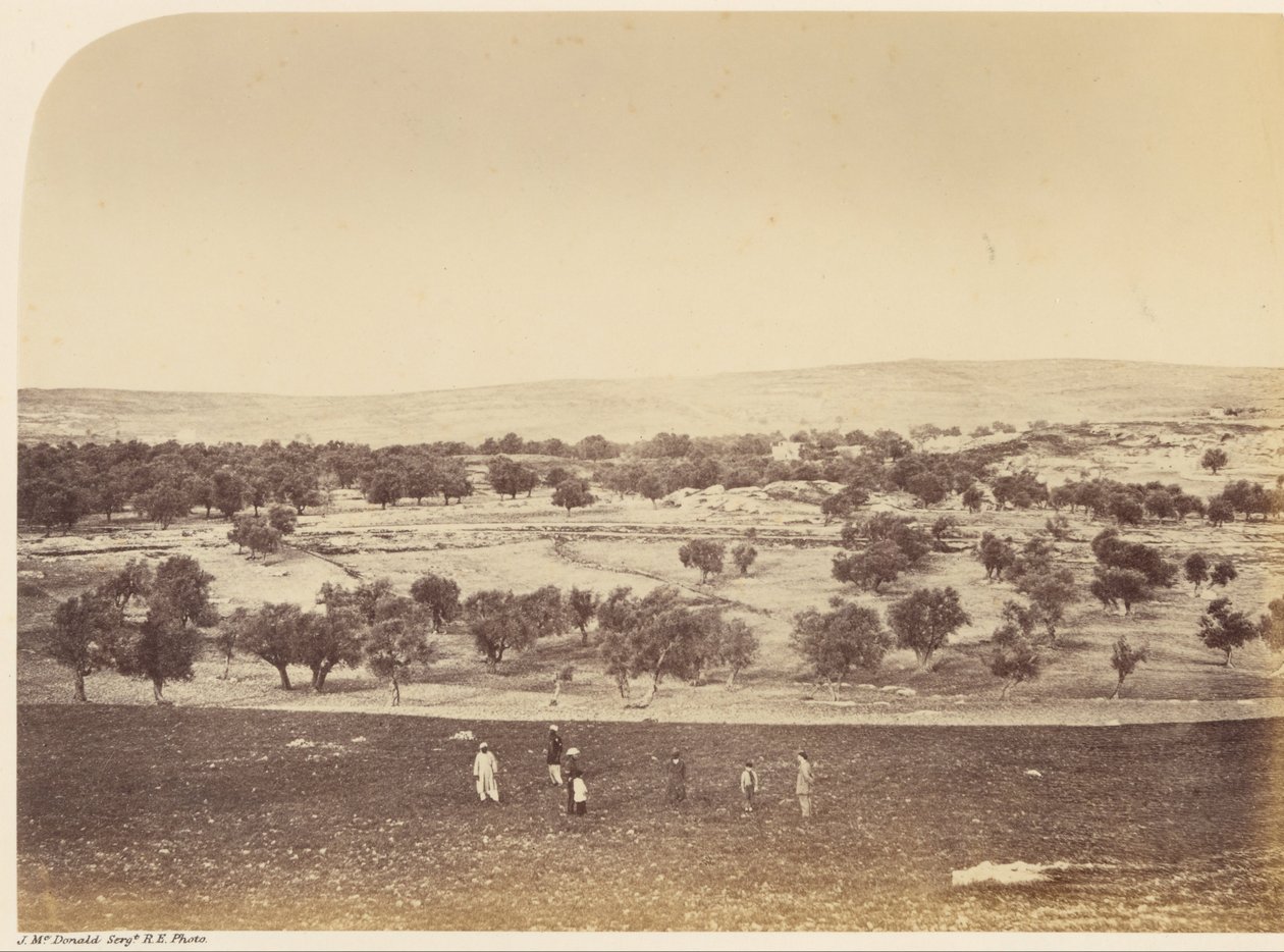Panoramik Şehir Manzarası- Şehrin Genel Görünümü undc. kuzeyden by Sgt. James M. McDonald