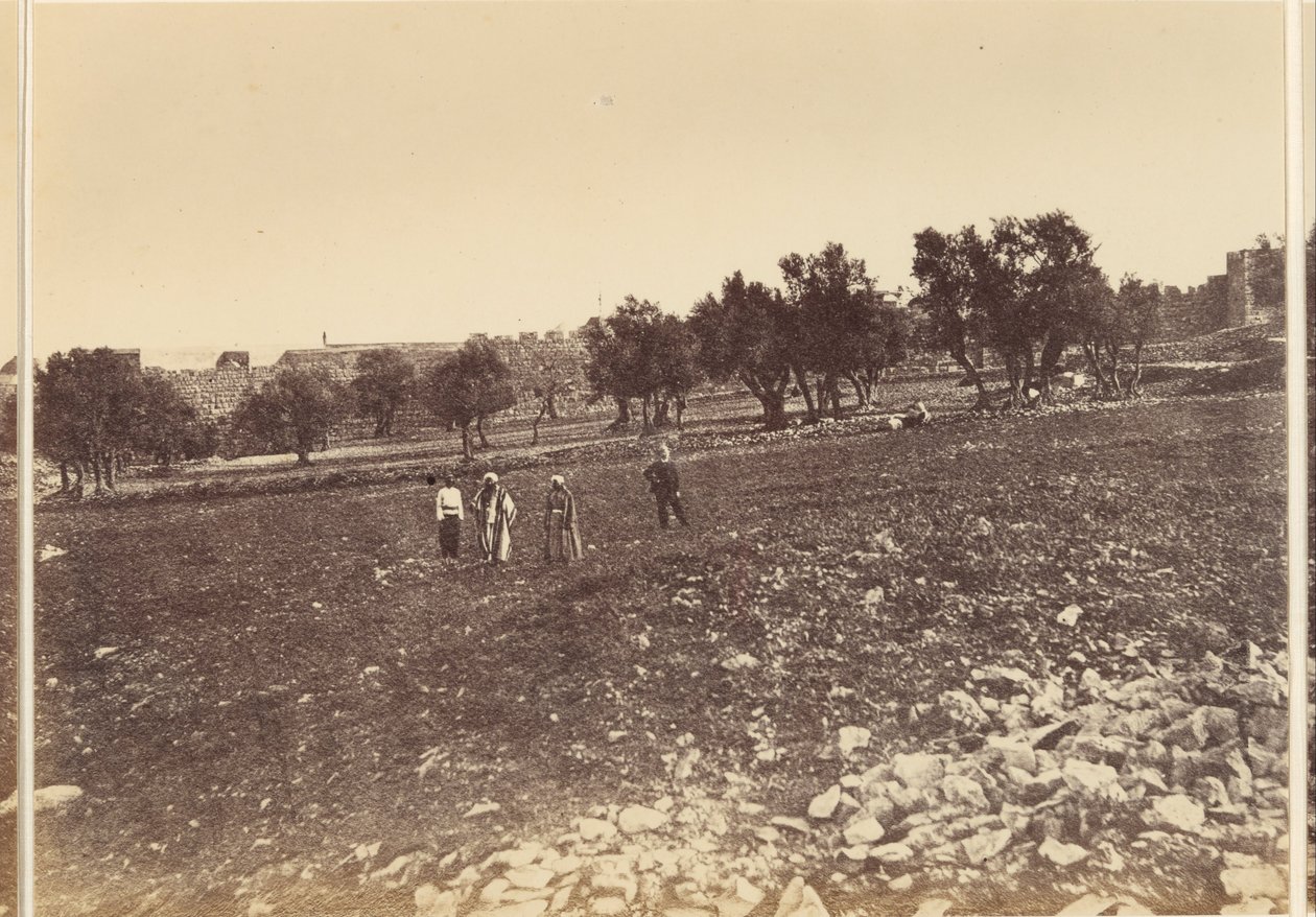 Şehrin Genel Görünümü & c. kuzeyden by Sgt. James M. McDonald
