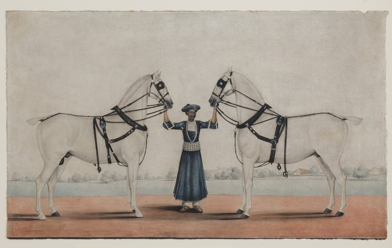 İki Arabalı Atı Tutan Bir Syce (Damat), c.1845 (kağıt üzerine opak sulu boya) by Shaik Muhammad Amir of Karraya (attr. to)