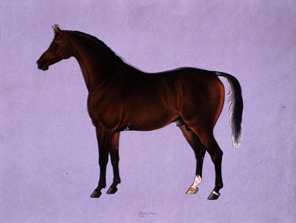 Oppidan, c.1840 (kağıt üzerine suluboya) by Shaik Muhammad Amir of Karraya
