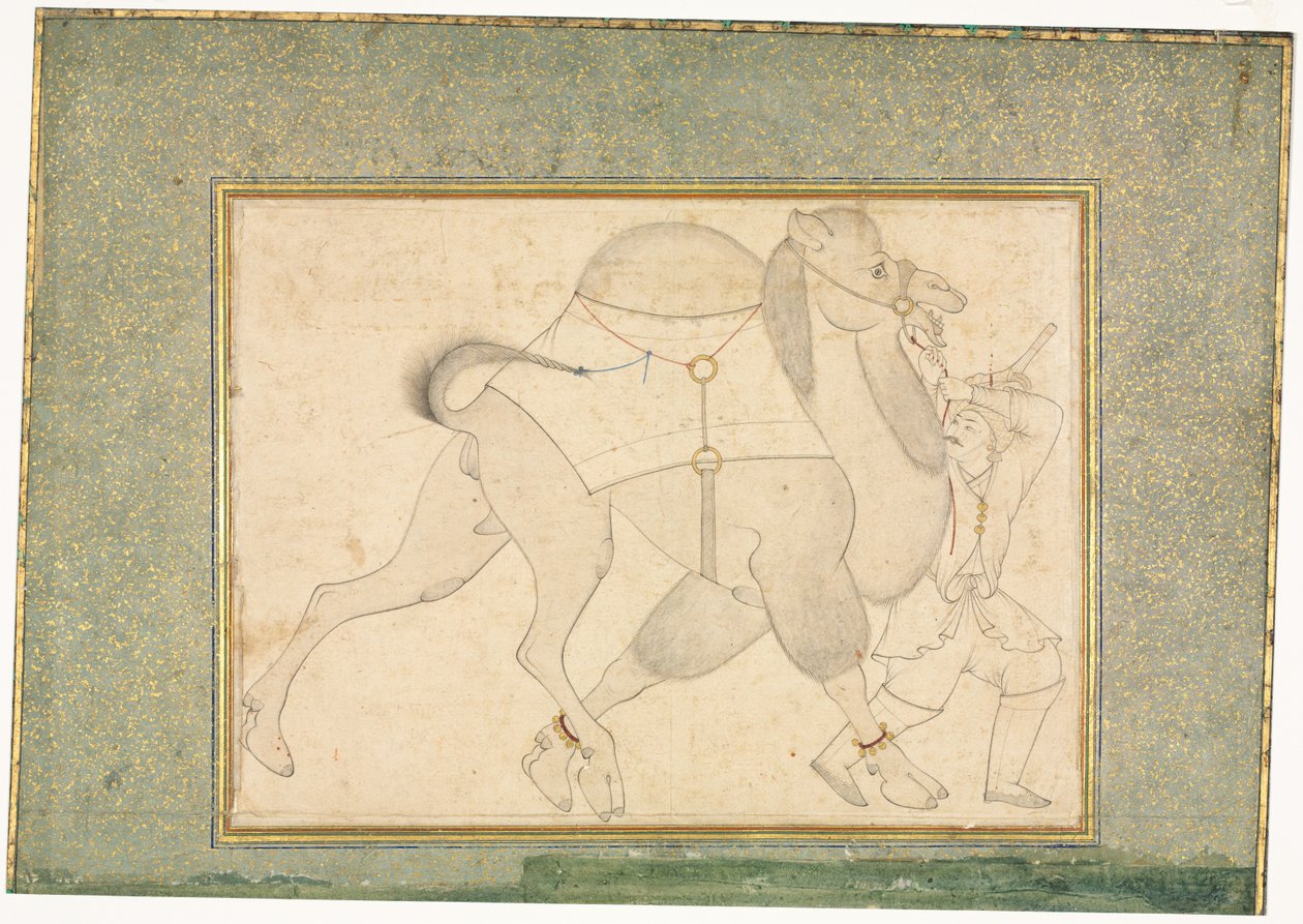 Deve ve Damat, Tek Sayfa İllüstrasyon, c. 1545-1576. by Shaykh Muhammad