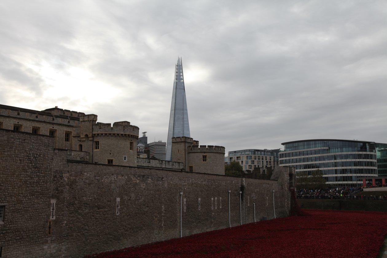 Kanlı Topraklar ve Kızıl Denizler, Londra Kulesi, 2014. by Sheldon Marshall