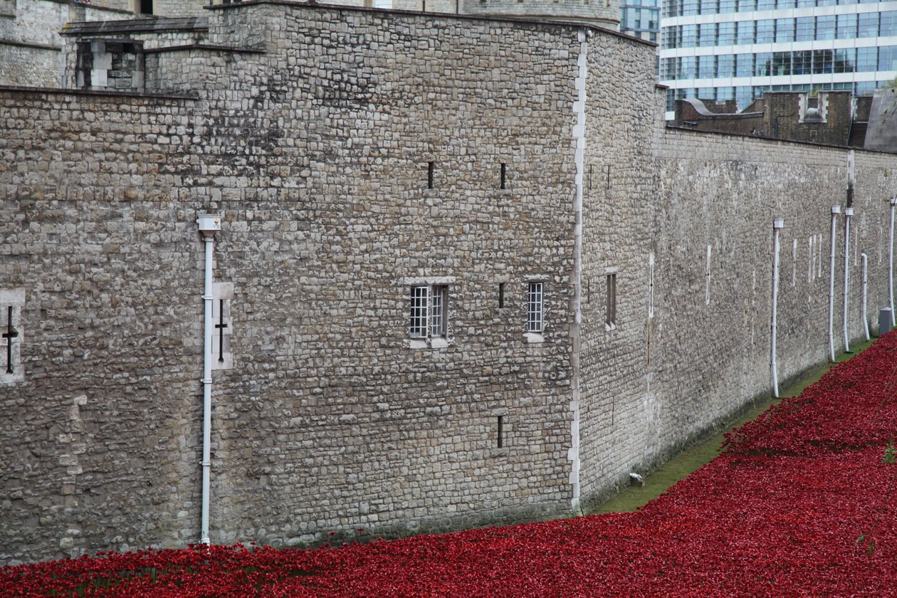 Kanlı Topraklar ve Kızıl Denizler, Londra Kulesi, 2014. by Sheldon Marshall