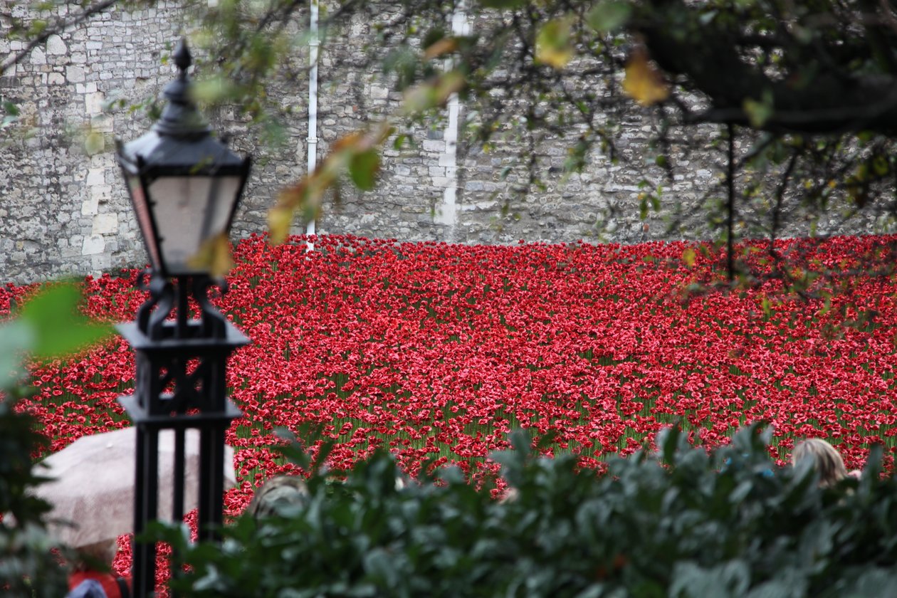 Kanlı Topraklar ve Kızıl Denizler, Londra Kulesi, 2014. by Sheldon Marshall