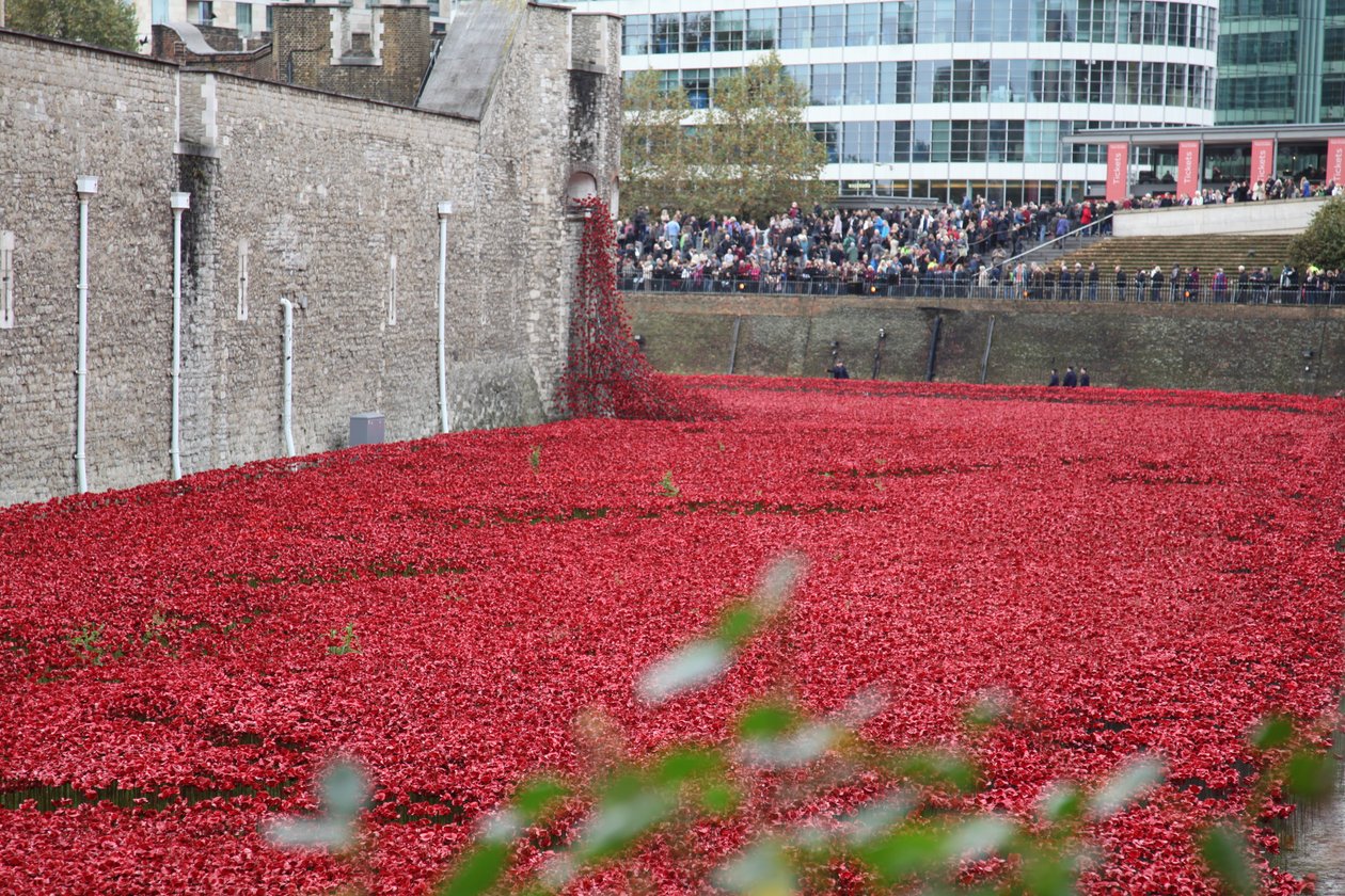 Kanlı Topraklar ve Kızıl Denizler, Londra Kulesi, 2014. by Sheldon Marshall